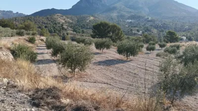Rustic Finca in the Finestrat Area photo 17