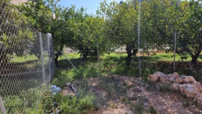 Rustic farm in Callosa d'en Sarrià photo 8