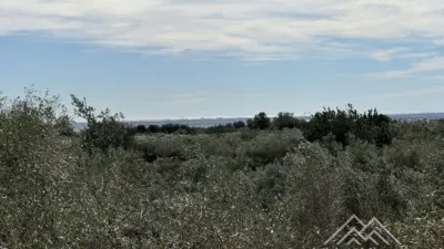 Rustic farm in L'Aldea photo 18