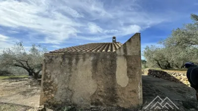 Rustic farm in L'Aldea photo 12