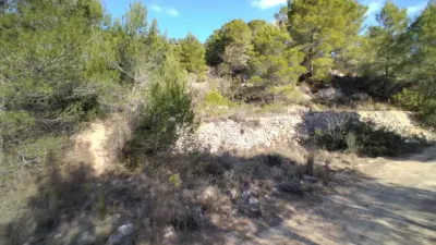 Rustic finca in Polop photo 15