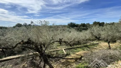 Rustic farm in L'Aldea photo 17
