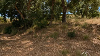 Rustic Finca in Bufaganyes photo 41