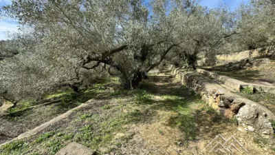 Rustic farm in L'Aldea photo 21