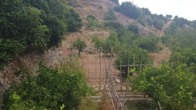 Rustic Finca in Callosa d'en Sarrià photo 8