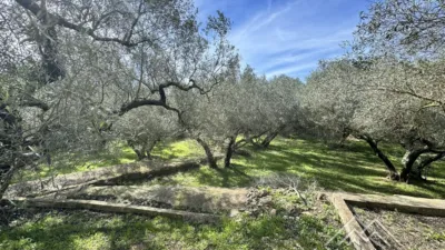 Rustic farm in L'Aldea photo 36