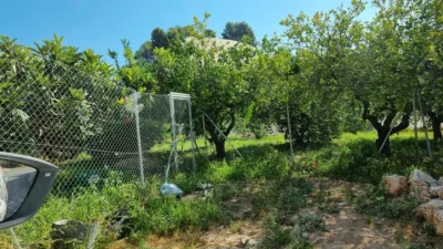 Casa - Més