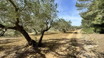 Rustic farm in L'Aldea photo 45
