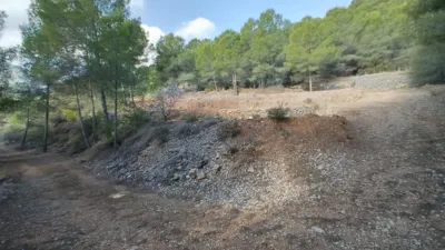 Rustic finca in Polop photo 10