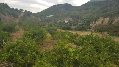Rustic Finca in Callosa d'en Sarrià photo 7