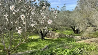 Rustic farm in L'Aldea photo 31