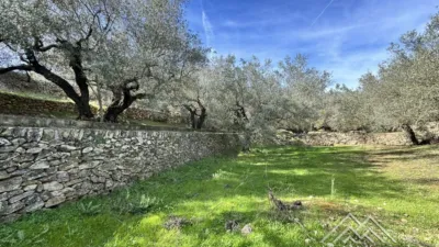 Rustic farm in L'Aldea photo 42