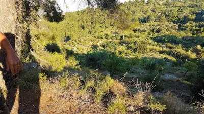 Casa - Vista 3