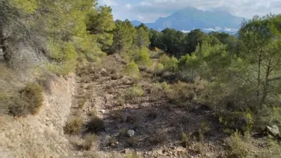Rustic finca in Polop photo 7
