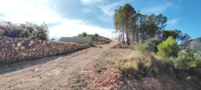 Chalet in Callosa d'en Sarrià photo 12