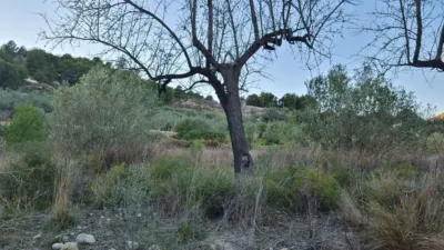 Casa - Més