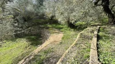 Rustic farm in L'Aldea photo 24