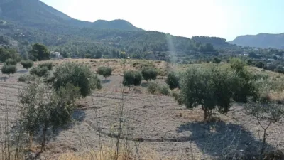 Rustic Finca in the Finestrat Area photo 16