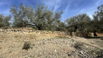 Rustic farm in L'Aldea photo 39