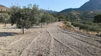 Rustic Finca in the Finestrat Area photo 20