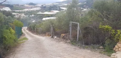 Finca rústica en Callosa d'en Sarrià photo 11