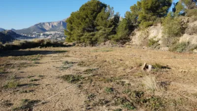 Rustic finca in Callosa d'en Sarrià photo 3