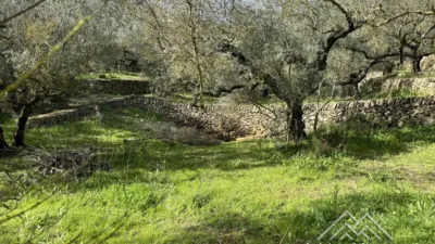 Rustic farm in L'Aldea photo 28