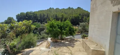 Rustic finca in Callosa d'en Sarrià photo 15