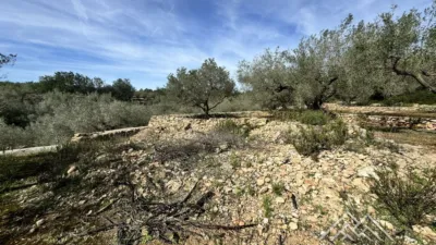 Rustic farm in L'Aldea photo 43