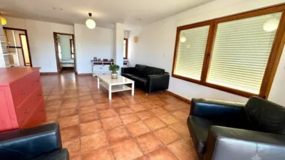 Apartment in Mascarat photo 20