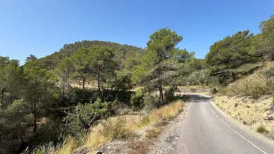 Rustic Finca in the Finestrat Area photo 4