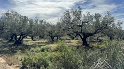 Rustic farm in L'Aldea photo 2