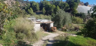 Rustic Finca in Callosa d'en Sarrià photo 17