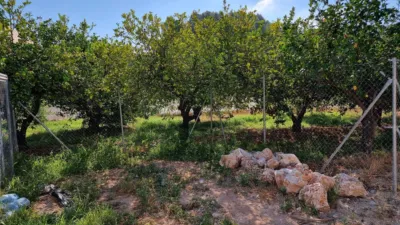 Rustic farm in Callosa d'en Sarrià photo 10