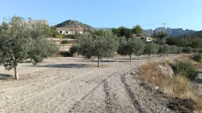 Rustic Finca in the Finestrat Area photo 18
