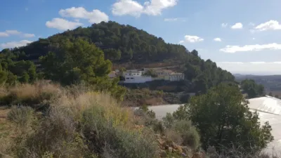 Rustic finca in Callosa d'en Sarrià photo 8