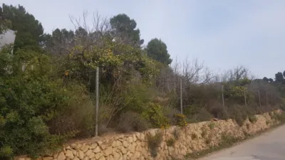 Finca rústica en Callosa d'en Sarrià photo 12
