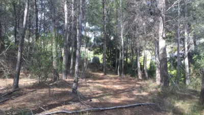 Casa - Vista 4