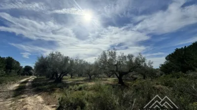 Rustic farm in L'Aldea photo 4