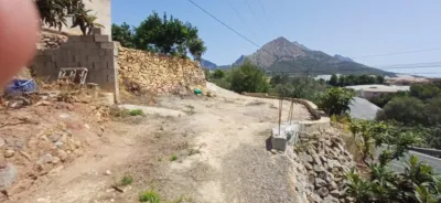 Rustic finca in Callosa d'en Sarrià photo 10
