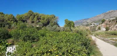 Rustic Finca in Callosa d'en Sarrià photo 21