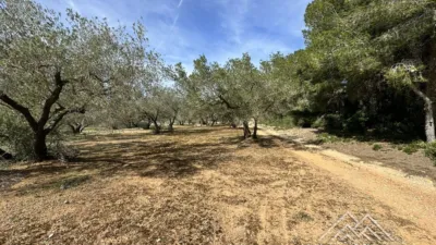 Rustic farm in L'Aldea photo 44