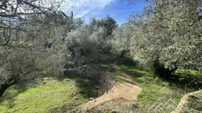 Rustic farm in L'Aldea photo 25