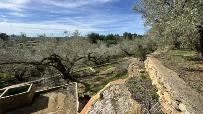 Rustic farm in L'Aldea photo 16
