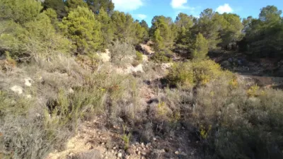 Rustic finca in Polop photo 14