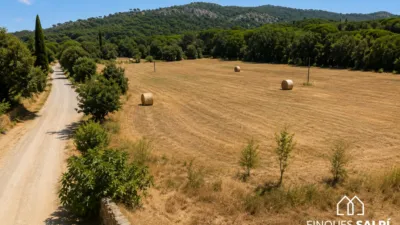 Rustic Finca in Bufaganyes photo 10