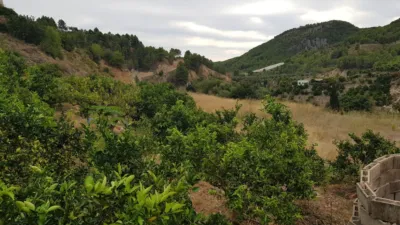 Rustic Finca in Callosa d'en Sarrià photo 11