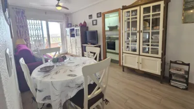 Pis – Santa Pola, el Baix Vinalopó - Més