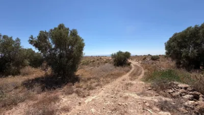 Rustic in Cuevas de Reyllo photo 8