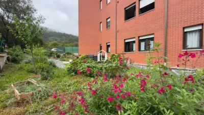 Apartment in Limpias photo 4